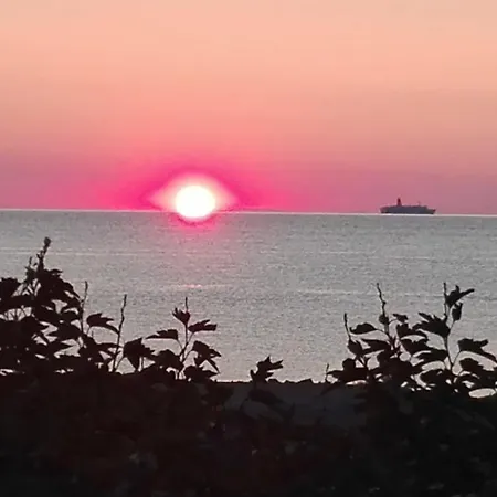 Le Rendez Vous De L'ete *