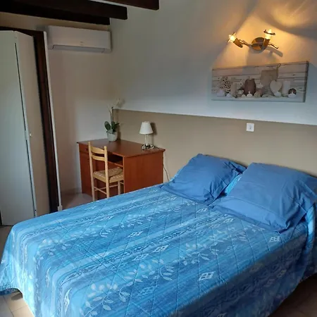 Le Rendez Vous De L'ete Pietracorbara