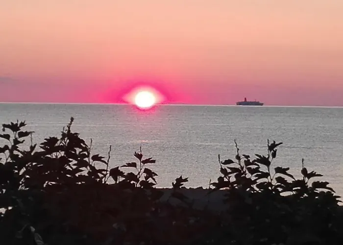 Le Rendez Vous De L'ete *