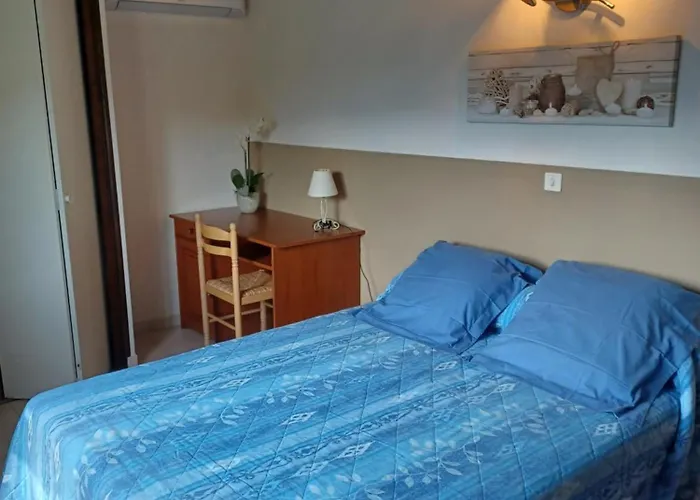 Le Rendez Vous De L'ete Pietracorbara